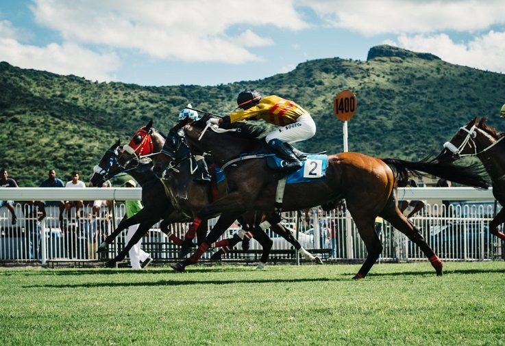 Chile busca incluir carreras de caballos en regulación del juego online