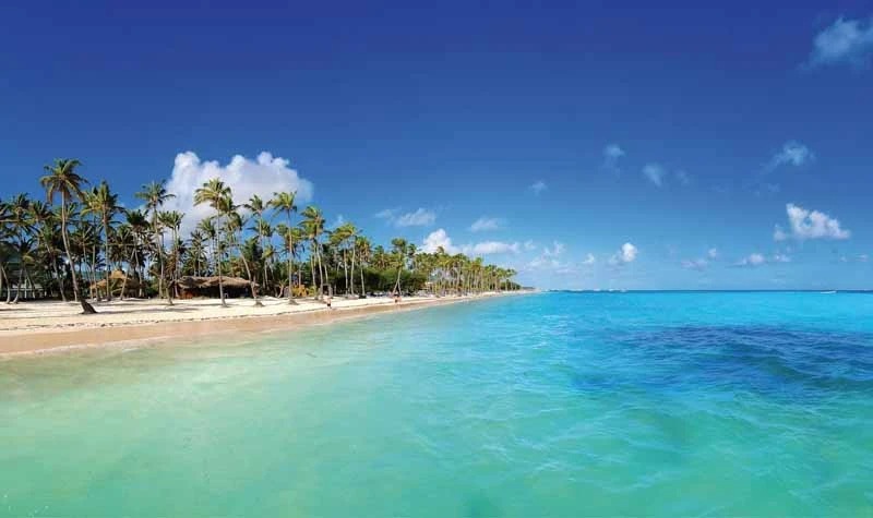 Punta Cana PAF